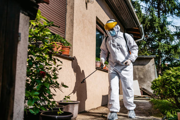 Best Flea Control Services  in Countryside, IL