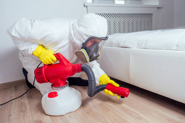 Best Affordable Pest Control Services  in Countryside, IL