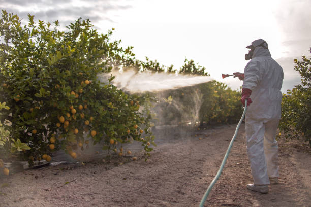 Best Commercial Pest Control Services  in Countryside, IL