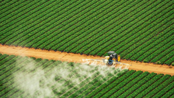 Professional Pest Control in Countryside, IL