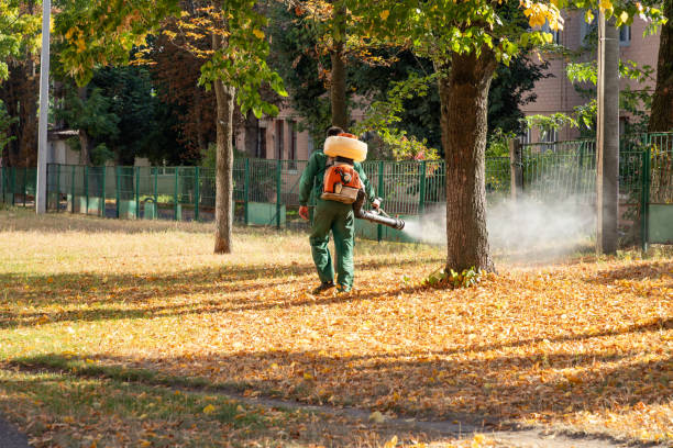 Best Mosquito Control Services  in Countryside, IL