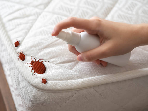 Best Pest Prevention Services  in Countryside, IL