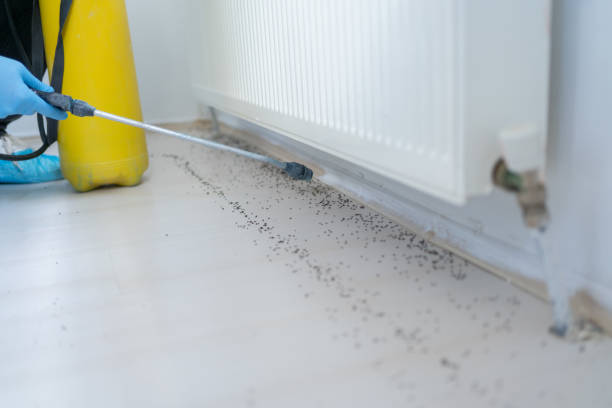 Best Residential Pest Control  in Countryside, IL