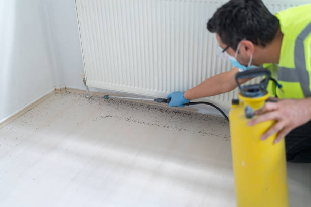 Best Pest Control Near Me  in Countryside, IL