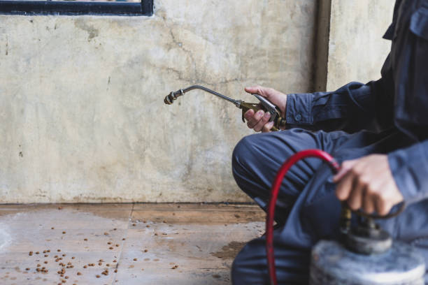 Best Pest Prevention Services  in Countryside, IL