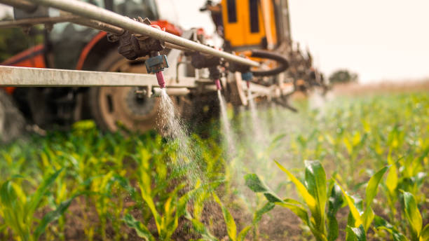 Pest Prevention Services in Countryside, IL